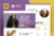 Adopt – Adoption Service & Charity Elementor Pro Template Kit